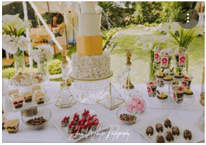 Cake Fairy Zim