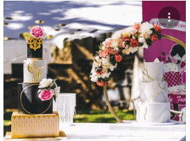 Cake Fairy Zim