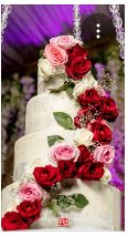 Cake Fairy Zim