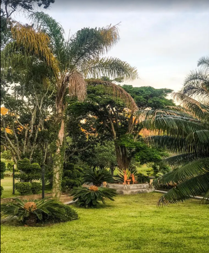 Georgias Gardens Rocky Lodge