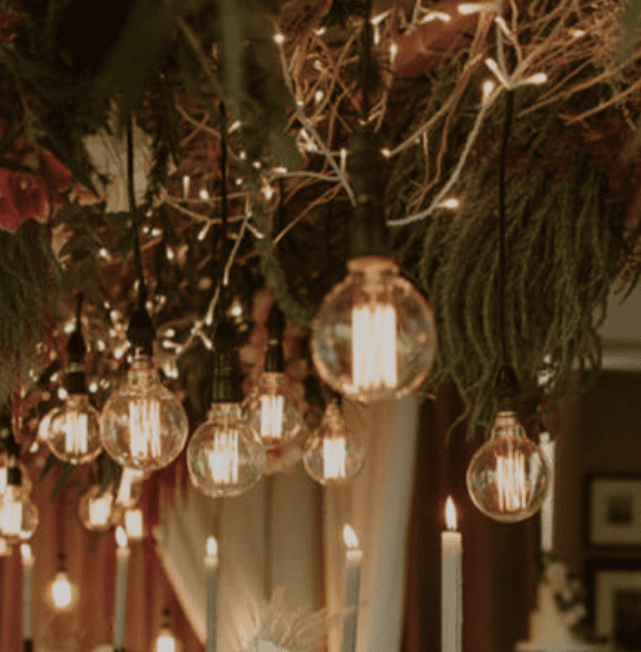 Edison Bulb Strings