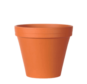 Classic Terracotta Pot