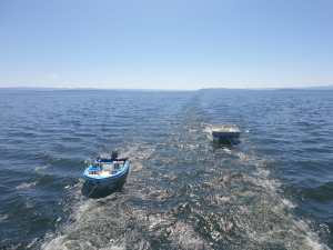 Navistar Houseboat Kariba