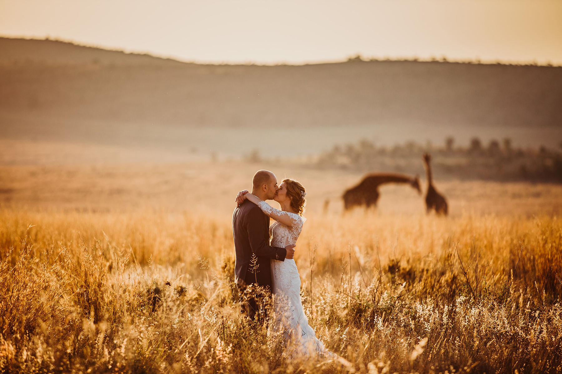 5 Breathtaking Safari Encounters That Changed Views on Wildlife Conservation